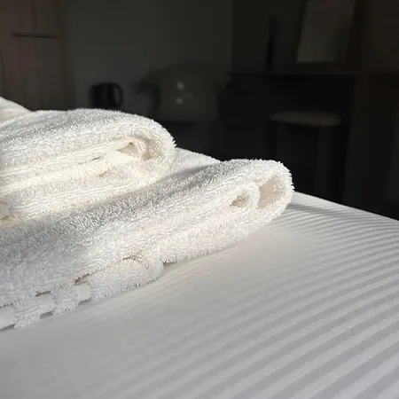 宾馆 The Reynard @the Fox *